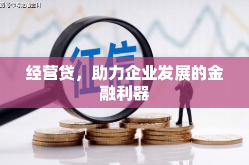 双滦经营贷，助力企业发展的金融利器