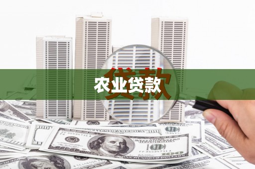 双滦农业贷款