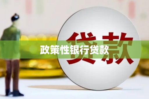 双滦政策性银行贷款