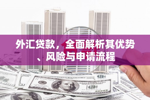 双滦外汇贷款，全面解析其优势、风险与申请流程