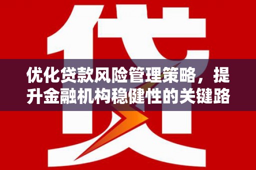 双滦优化贷款风险管理策略，提升金融机构稳健性的关键路径