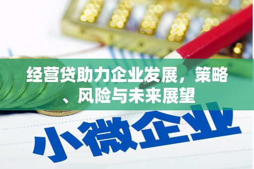 双滦经营贷助力企业发展，策略、风险与未来展望