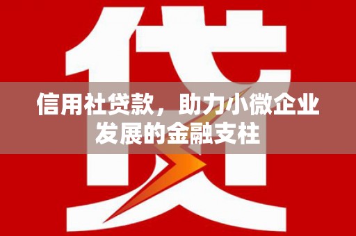 双滦信用社贷款，助力小微企业发展的金融支柱