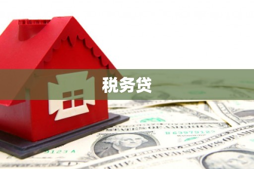 双滦税务贷