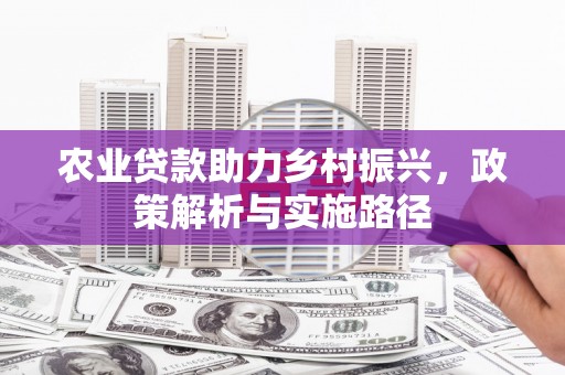 双滦农业贷款助力乡村振兴，政策解析与实施路径