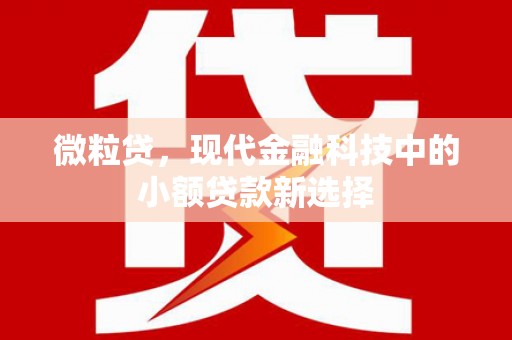 双滦微粒贷，现代金融科技中的小额贷款新选择