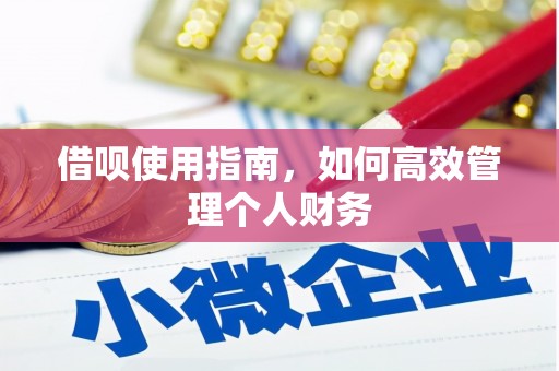 双滦借呗使用指南，如何高效管理个人财务