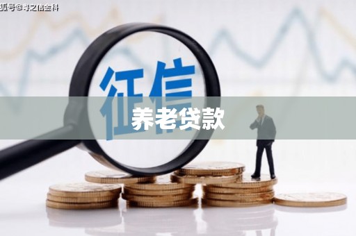 双滦养老贷款
