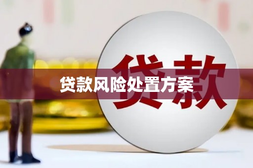 双滦贷款风险处置方案