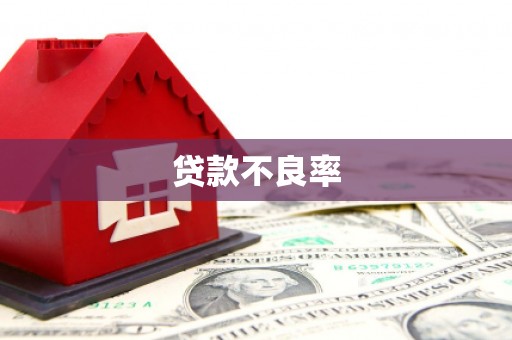 双滦贷款不良率