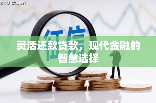 双滦灵活还款贷款，现代金融的智慧选择