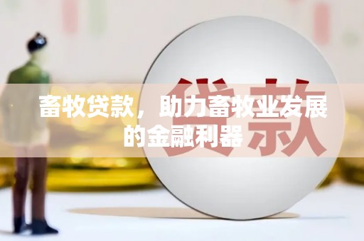 双滦畜牧贷款，助力畜牧业发展的金融利器