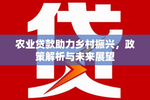 双滦农业贷款助力乡村振兴，政策解析与未来展望