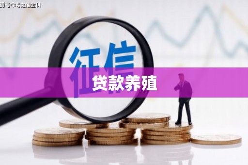 双滦贷款养殖