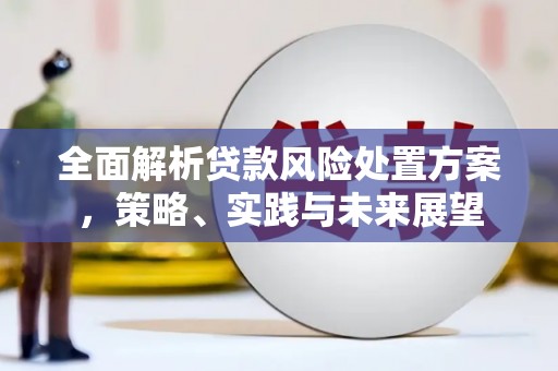 双滦全面解析贷款风险处置方案，策略、实践与未来展望