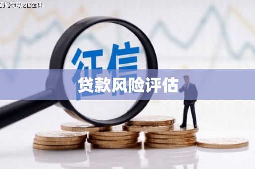 双滦贷款风险评估