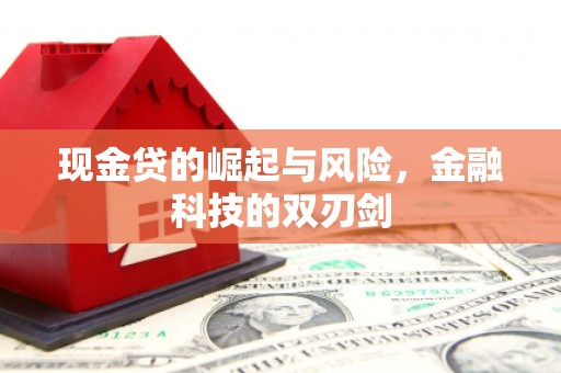 双滦现金贷的崛起与风险，金融科技的双刃剑