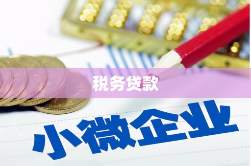 双滦税务贷款