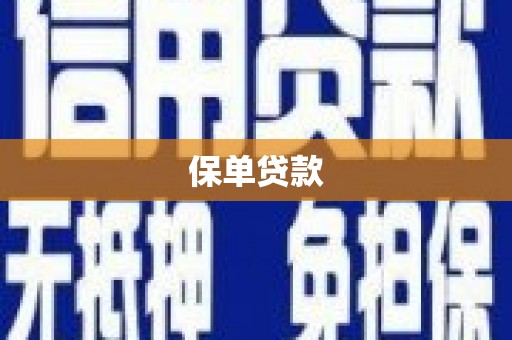 双滦保单贷款
