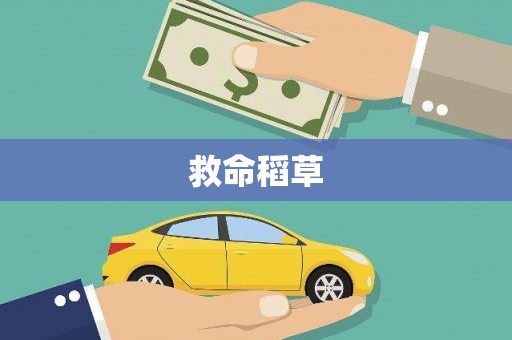 双滦救命稻草