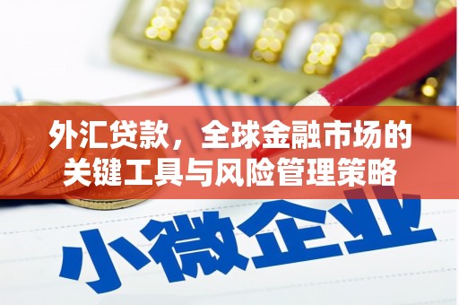 双滦外汇贷款，全球金融市场的关键工具与风险管理策略