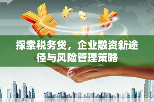 双滦探索税务贷，企业融资新途径与风险管理策略