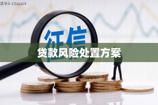 双滦贷款风险处置方案