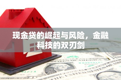 双滦现金贷的崛起与风险，金融科技的双刃剑