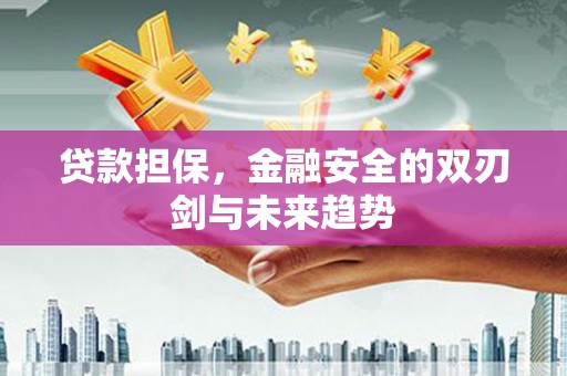 双滦贷款担保，金融安全的双刃剑与未来趋势