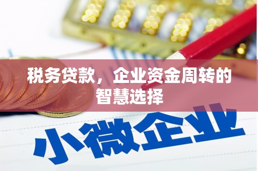 双滦税务贷款，企业资金周转的智慧选择