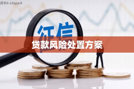 双滦贷款风险处置方案