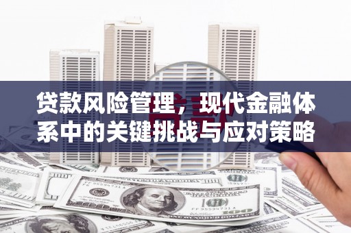 双滦贷款风险管理，现代金融体系中的关键挑战与应对策略