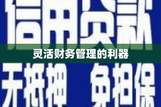 双滦灵活财务管理的利器