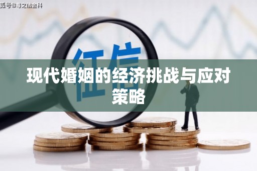 双滦现代婚姻的经济挑战与应对策略