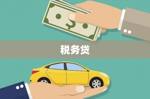 双滦税务贷
