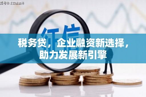 双滦税务贷，企业融资新选择，助力发展新引擎