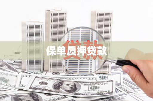 双滦保单质押贷款