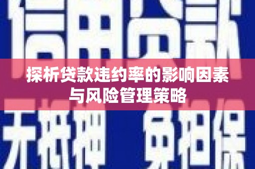 双滦探析贷款违约率的影响因素与风险管理策略