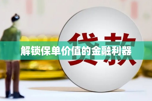 双滦解锁保单价值的金融利器