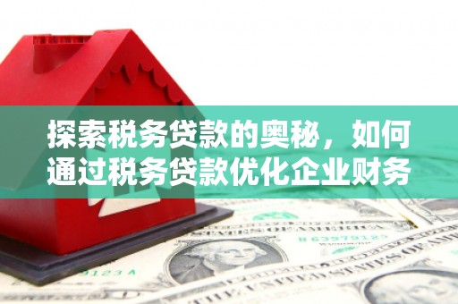 双滦探索税务贷款的奥秘，如何通过税务贷款优化企业财务