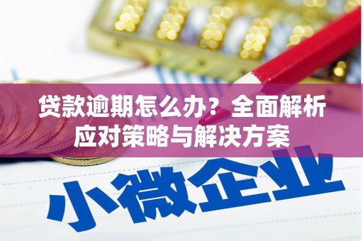 双滦贷款逾期怎么办？全面解析应对策略与解决方案