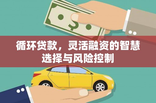 双滦循环贷款，灵活融资的智慧选择与风险控制