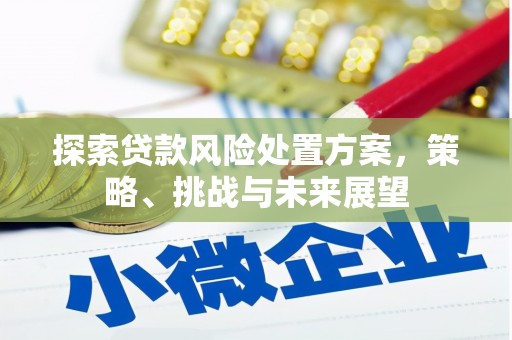 双滦探索贷款风险处置方案，策略、挑战与未来展望