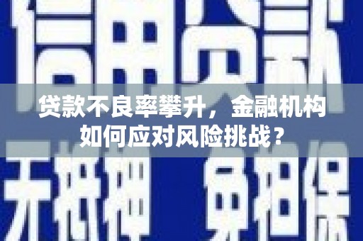双滦贷款不良率攀升，金融机构如何应对风险挑战？