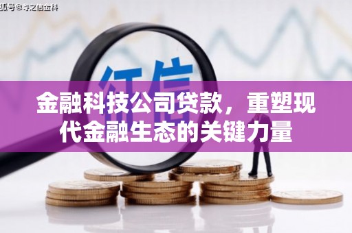 双滦金融科技公司贷款，重塑现代金融生态的关键力量