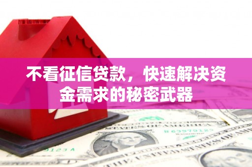 双滦不看征信贷款，快速解决资金需求的秘密武器