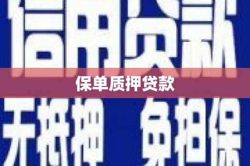 双滦保单质押贷款
