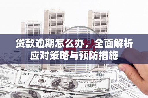 双滦贷款逾期怎么办，全面解析应对策略与预防措施