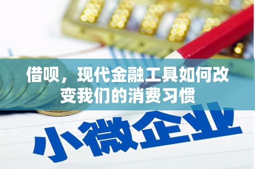 双滦借呗，现代金融工具如何改变我们的消费习惯
