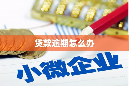 双滦贷款逾期怎么办